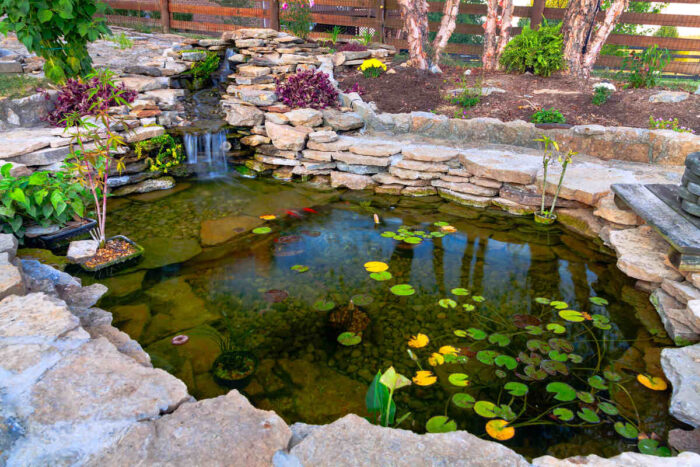 10 Tips for Keeping Your Koi Pond Clean and Healthy