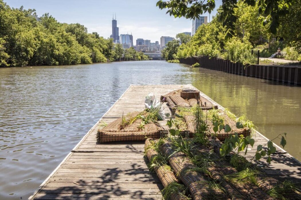 How Fish Survive in Large Urban Waterways Like the Chicago River